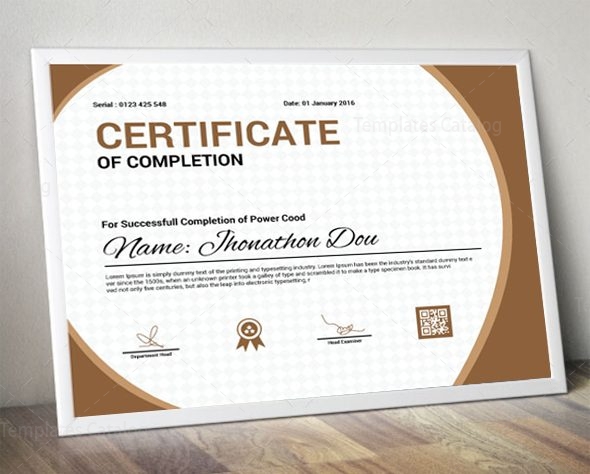 Professional Certificate Design Template - Graphic Prime | Graphic ...